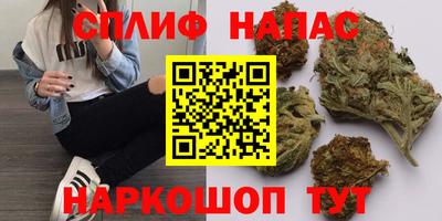 твердый Камышлов