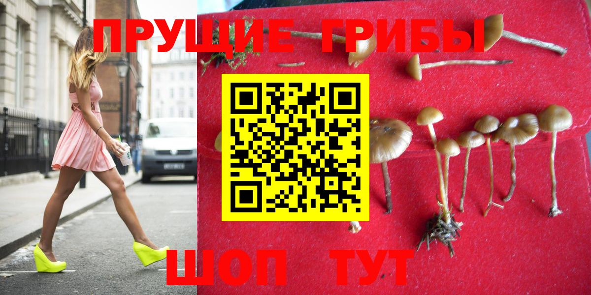 даркнет сайт  Галлюциногенные грибы ЛСД  Вход с VPN  Галлюциногенные грибы Cubensis  Лангепас 